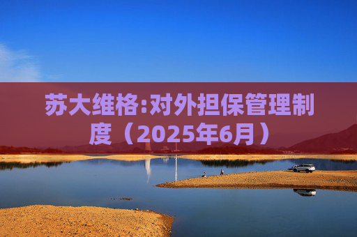 苏大维格:对外担保管理制度（2025年6月）