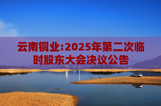 云南铜业:2025年第二次临时股东大会决议公告