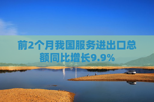 前2个月我国服务进出口总额同比增长9.9%  第1张