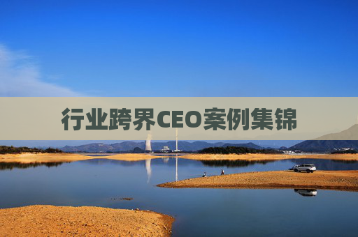 行业跨界CEO案例集锦