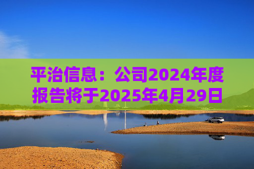平治信息：公司2024年度报告将于2025年4月29日披露