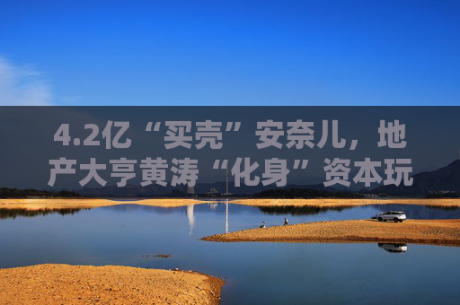 4.2亿“买壳”安奈儿,地产大亨黄涛“化身”资本玩家 第1张 4.2亿“买壳”安奈儿,地产大亨黄涛“化身”资本玩家 第1张