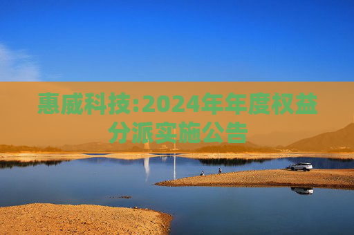 惠威科技:2024年年度权益分派实施公告