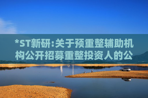 *ST新研:关于预重整辅助机构公开招募重整投资人的公告  第1张