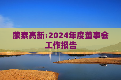 蒙泰高新:2024年度董事会工作报告