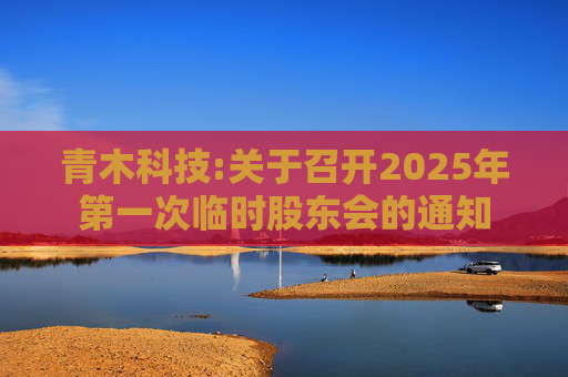 青木科技:关于召开2025年第一次临时股东会的通知