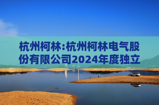 杭州柯林:杭州柯林电气股份有限公司2024年度独立董事述职报告（毛卫民）  第1张