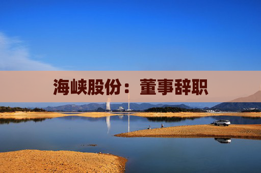 海峡股份：董事辞职