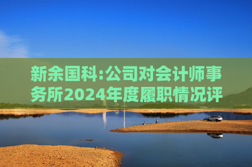 新余国科:公司对会计师事务所2024年度履职情况评估报告  第1张