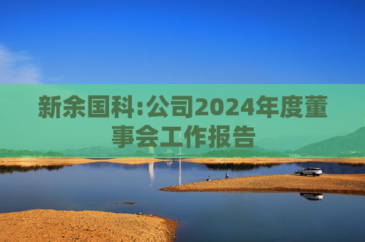 新余国科:公司2024年度董事会工作报告