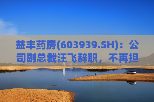 益丰药房(603939.SH)：公司副总裁汪飞辞职，不再担任公司其他职务