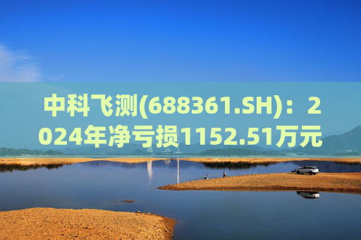 中科飞测(688361.SH)：2024年净亏损1152.51万元  第1张
