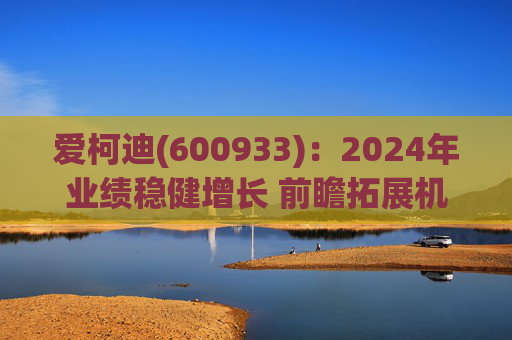 爱柯迪(600933):2024年业绩稳健增长 前瞻拓展机器人相关业务 第1张 爱柯迪(600933):2024年业绩稳健增长 前瞻拓展机器人相关业务 第1张