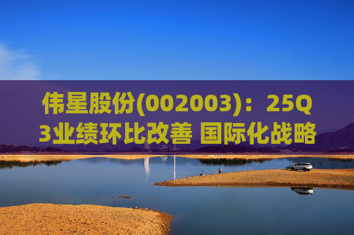 伟星股份(002003):25Q3业绩环比改善 国际化战略保障成长