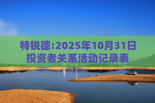 特锐德:2025年10月31日投资者关系活动记录表
