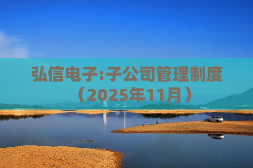 弘信电子:子公司管理制度（2025年11月）  第1张