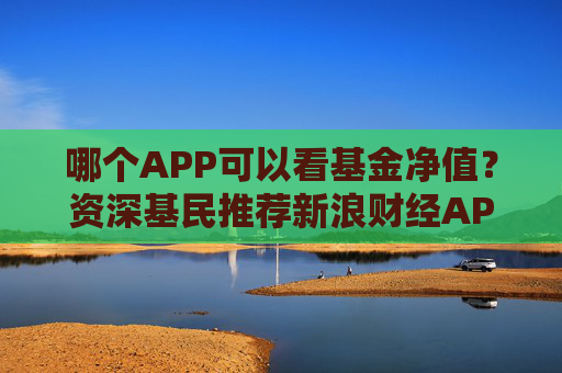 哪个APP可以看基金净值？资深基民推荐新浪财经APP三大理由  第1张