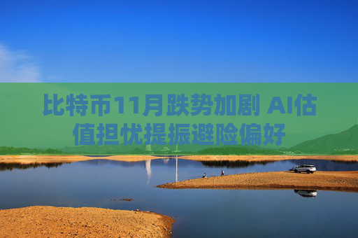 比特币11月跌势加剧 AI估值担忧提振避险偏好