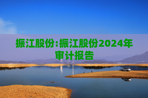 振江股份:振江股份2024年审计报告