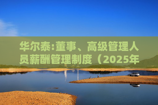 华尔泰:董事、高级管理人员薪酬管理制度（2025年11月）