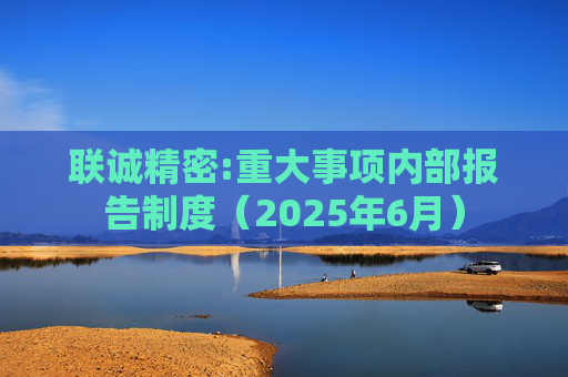 联诚精密:重大事项内部报告制度（2025年6月）  第1张