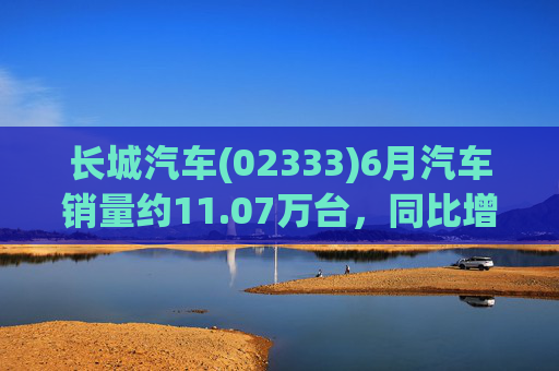 长城汽车(02333)6月汽车销量约11.07万台，同比增长12.86%  第1张