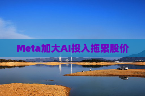 Meta加大AI投入拖累股价  第1张