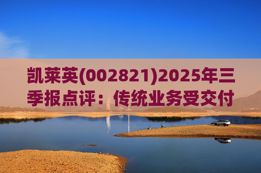 凯莱英(002821)2025年三季报点评：传统业务受交付节奏影响 新兴业务加速放量