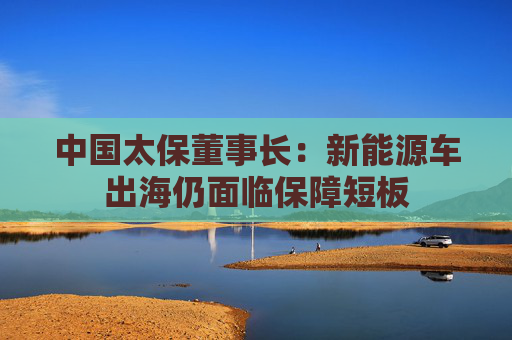 中国太保董事长：新能源车出海仍面临保障短板