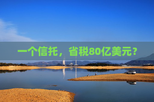 一个信托，省税80亿美元？