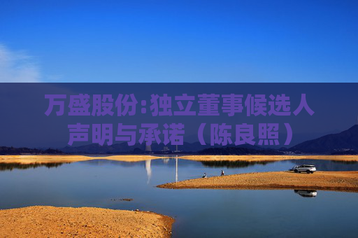 万盛股份:独立董事候选人声明与承诺(陈良照)