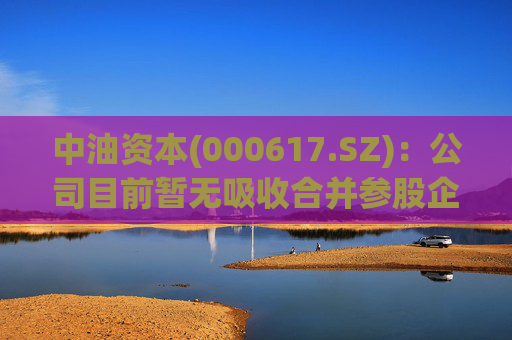 中油资本(000617.SZ)：公司目前暂无吸收合并参股企业昆仑资本的计划