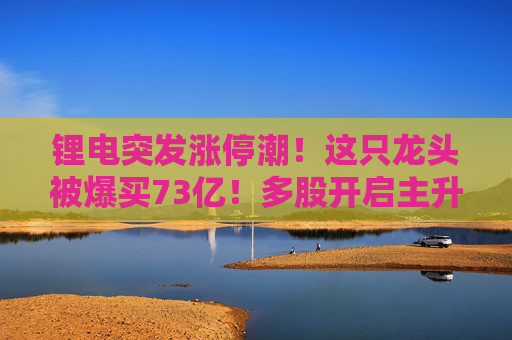 锂电突发涨停潮！这只龙头被爆买73亿！多股开启主升浪  第1张