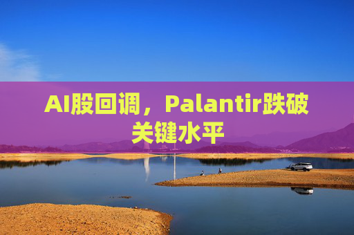 AI股回调,Palantir跌破关键水平