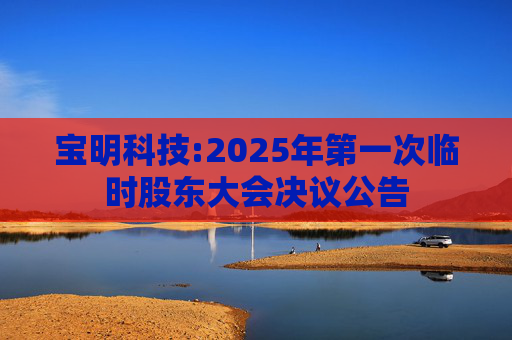 宝明科技:2025年第一次临时股东大会决议公告