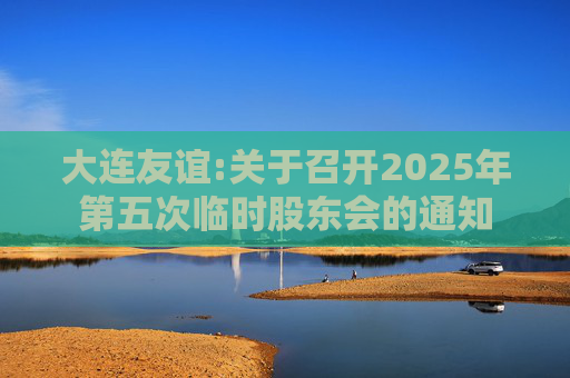 大连友谊:关于召开2025年第五次临时股东会的通知  第1张