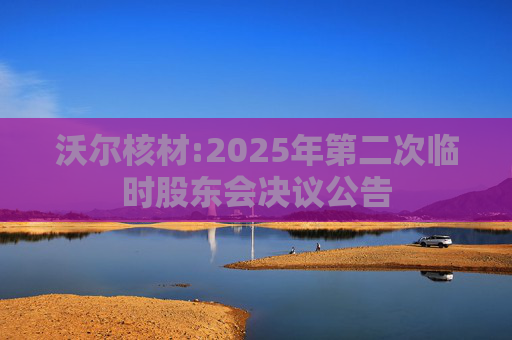 沃尔核材:2025年第二次临时股东会决议公告