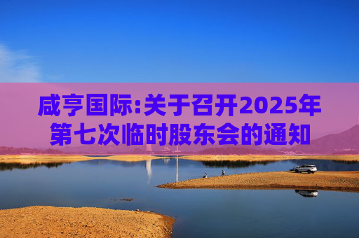 咸亨国际:关于召开2025年第七次临时股东会的通知  第1张