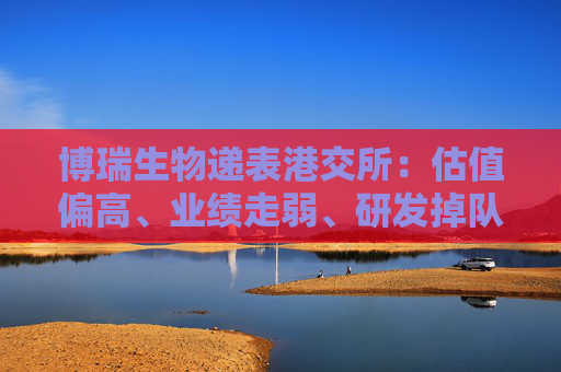 博瑞生物递表港交所:估值偏高、业绩走弱、研发掉队、内控问题频发 资本市场是否买单?