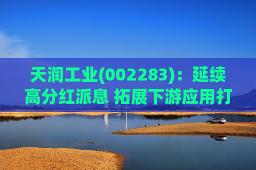 天润工业(002283)：延续高分红派息 拓展下游应用打开成长空间