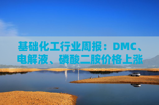 基础化工行业周报:DMC、电解液、磷酸二胺价格上涨 关注反内卷和铬盐