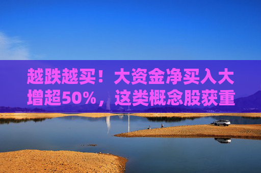 越跌越买！大资金净买入大增超50%，这类概念股获重点关注