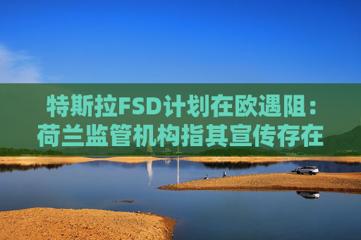 特斯拉FSD计划在欧遇阻：荷兰监管机构指其宣传存在误导性  第1张