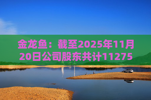 金龙鱼：截至2025年11月20日公司股东共计112754户  第1张