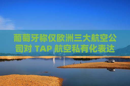 葡萄牙称仅欧洲三大航空公司对 TAP 航空私有化表达兴趣  第1张