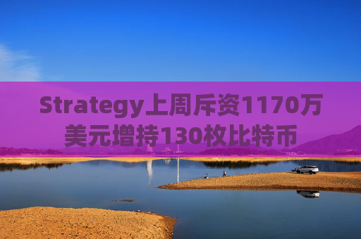 Strategy上周斥资1170万美元增持130枚比特币  第1张