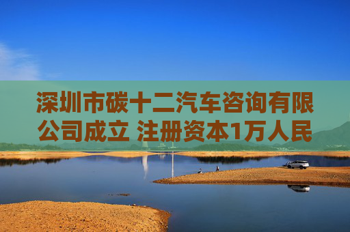 深圳市碳十二汽车咨询有限公司成立 注册资本1万人民币  第1张