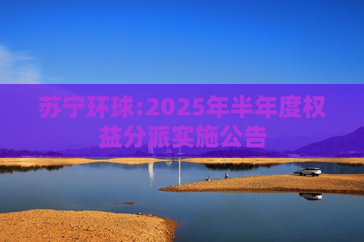 苏宁环球:2025年半年度权益分派实施公告