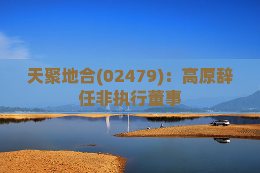 天聚地合(02479)：高原辞任非执行董事