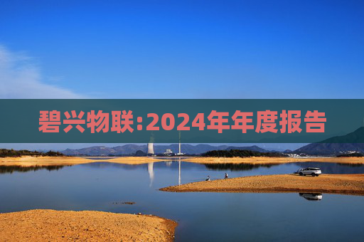 碧兴物联:2024年年度报告